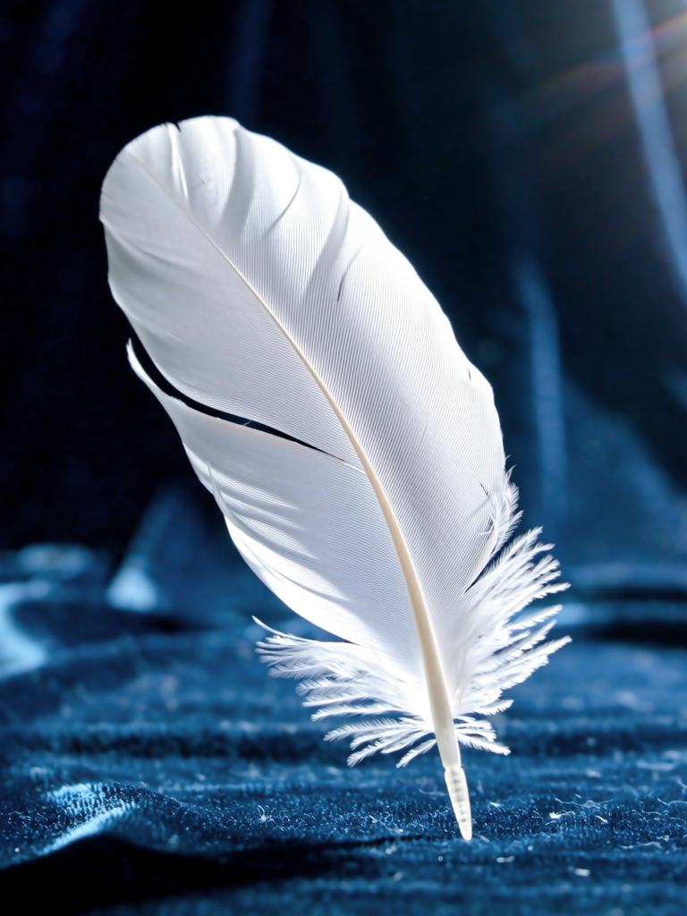 羽毛